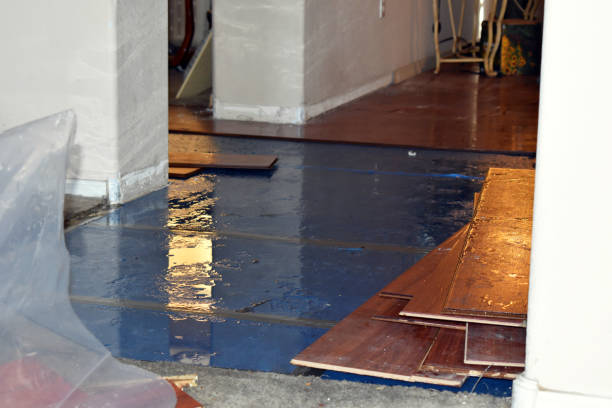 Professional Burst Pipe Cleanup technician working in Big Rapids, MI